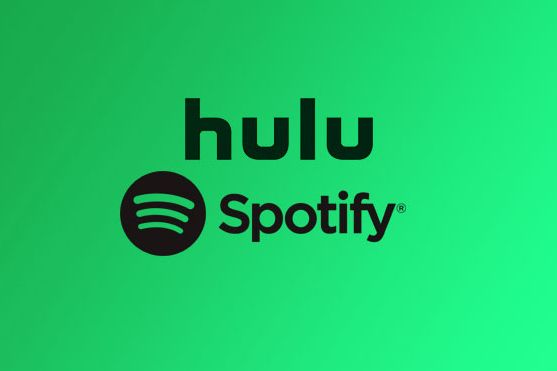 Spotify premium and hulu plan